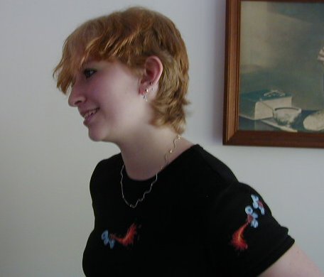 meshorthair.jpg