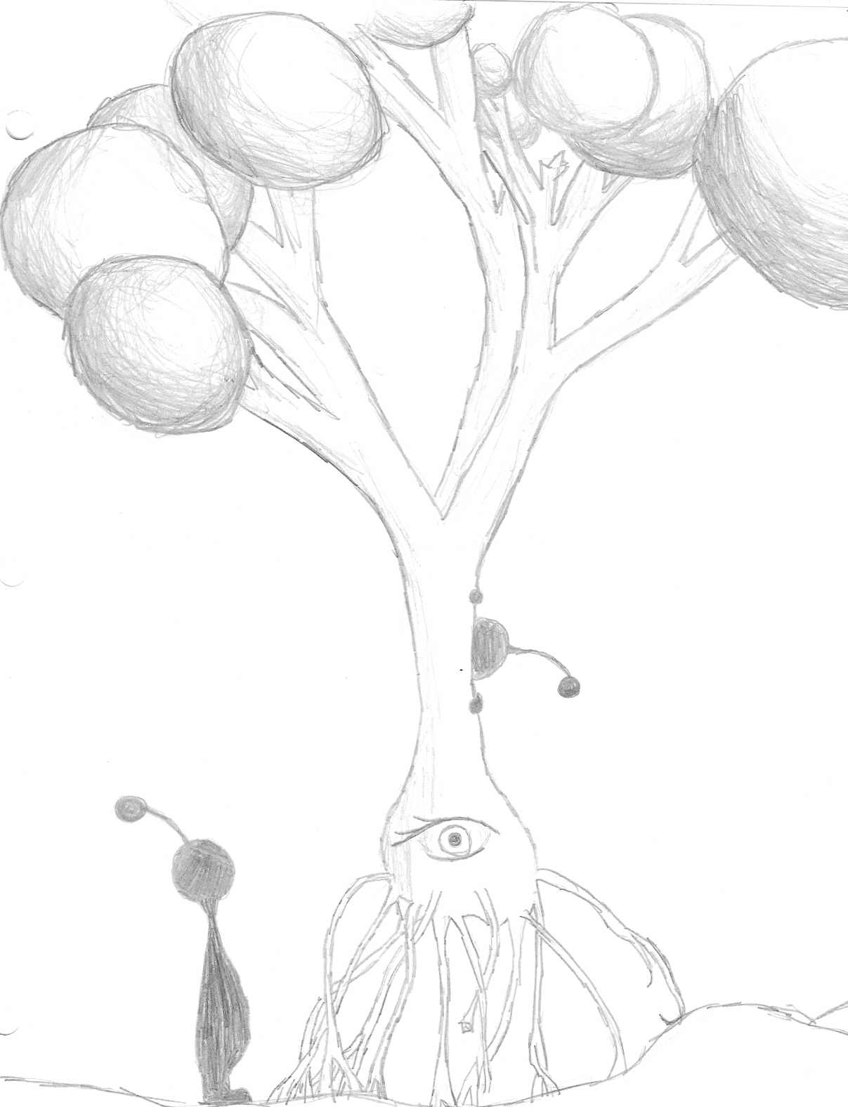 scan0002.jpg